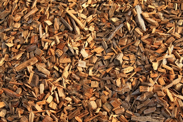 Wood chip yang ditrading PT Parahita Adhi Sakti